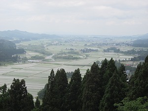 秋田 川連塗り寿次郎   セレクトショップ 秋田 蕗だより