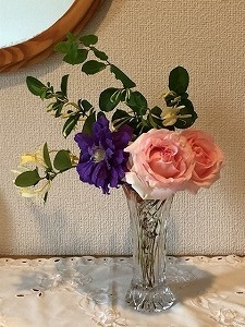 いらっしゃいませ