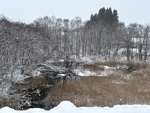 いらっしゃいませ