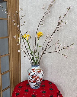 いらっしゃいませ