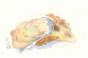 絵葉書『岩牡蠣（いわがき）』