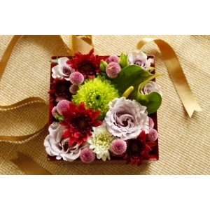 画像10: 寿次郎　雛小重 (10)