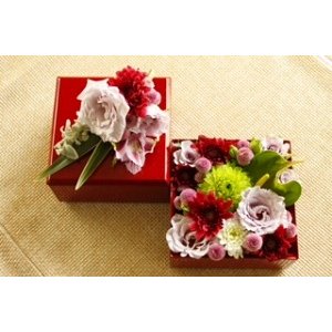 画像9: 寿次郎　雛小重 (9)